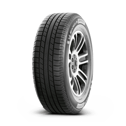 Michelin Defender 2